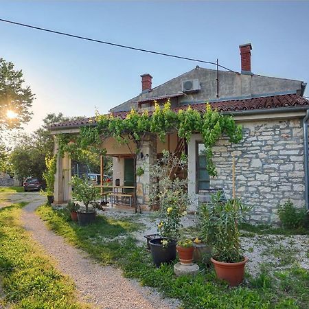 Rural Apartment Geja Umag Exterior photo